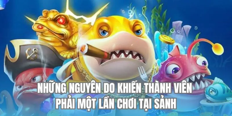 Những nguyên do khiến thành viên phải một lần chơi tại sảnh