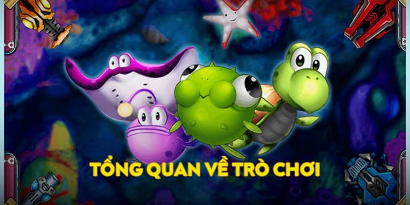 Tổng quan về trò chơi