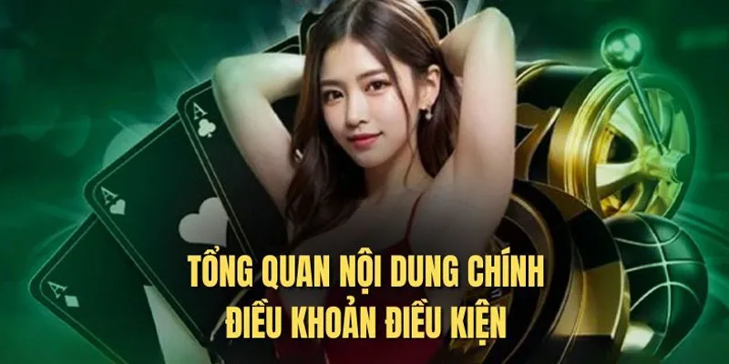 Thông tin nổi bật của chính sách điều khoản mới nhất
